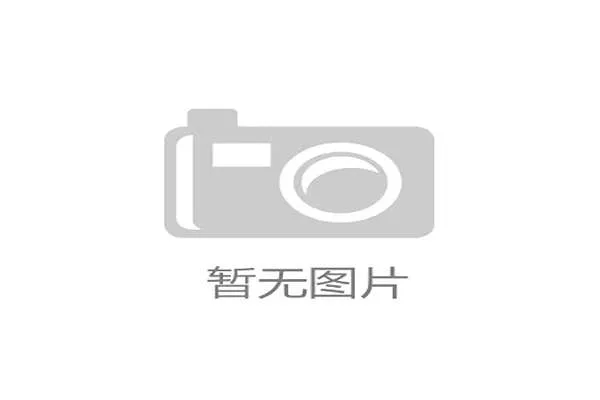 琼阿梅尼和拉比奥的双后腰组合覆盖范围广，能有效保护后防线身前的危险区域。